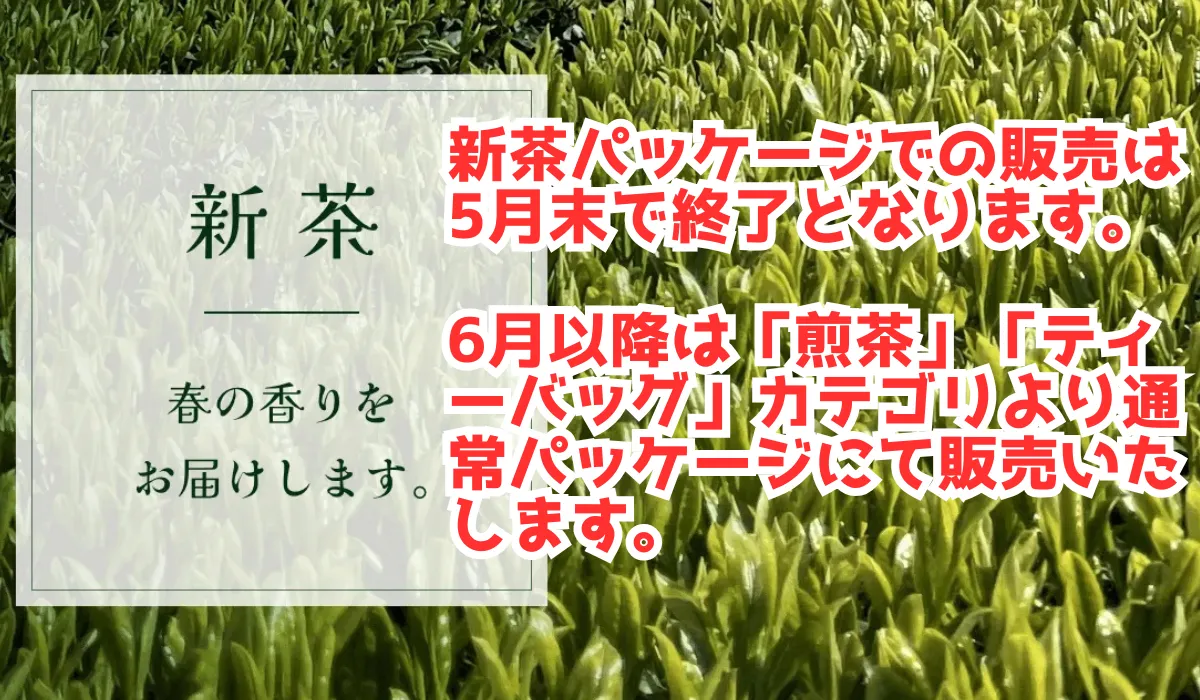 新茶