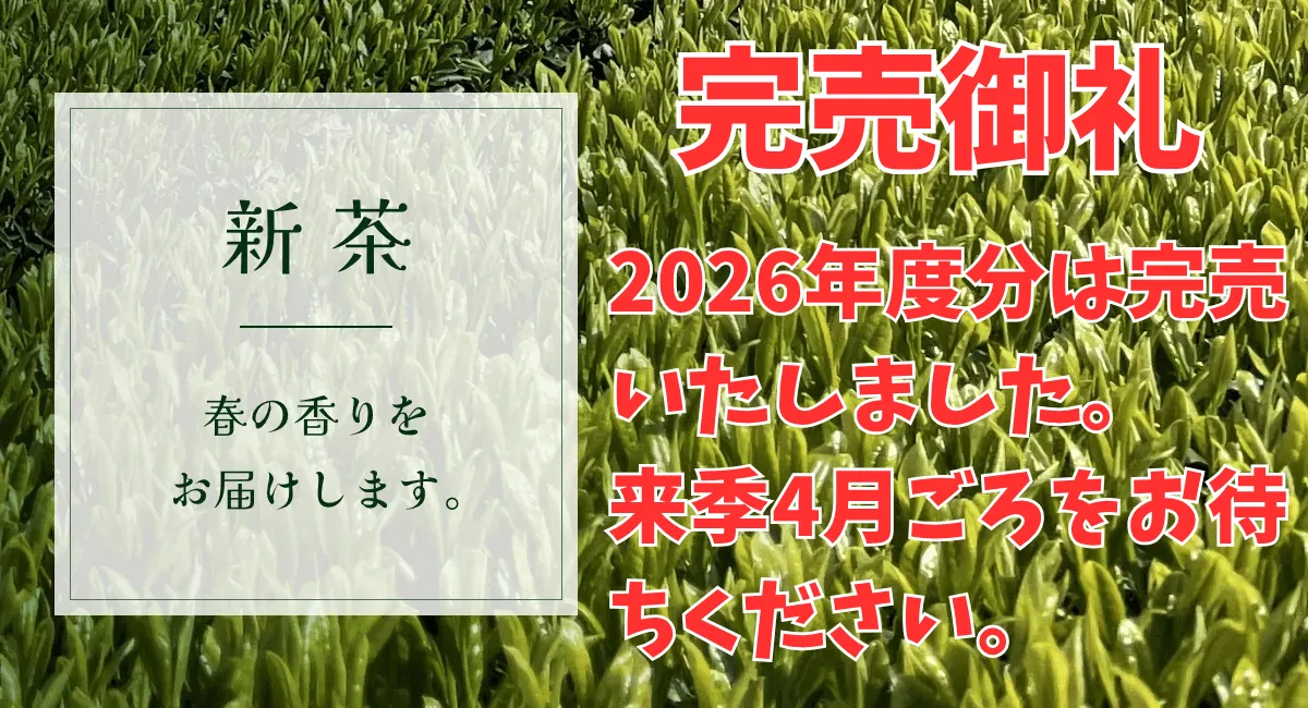 新茶